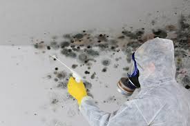 Best Industrial Mold Remediation  in Mount Olive, MS